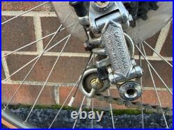 Vintage Trek 660 Road Bike Campagnolo Nuovo Record Campy 10 speed