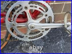 Vintage Trek 660 Road Bike Campagnolo Nuovo Record Campy 10 speed