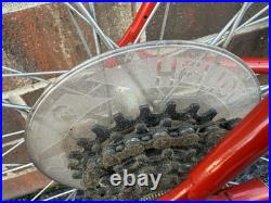 Vintage Trek 660 Road Bike Campagnolo Nuovo Record Campy 10 speed