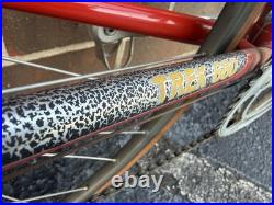 Vintage Trek 660 Road Bike Campagnolo Nuovo Record Campy 10 speed