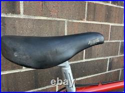 Vintage Trek 660 Road Bike Campagnolo Nuovo Record Campy 10 speed