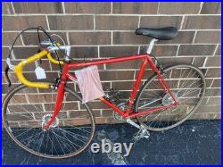 Vintage Trek 660 Road Bike Campagnolo Nuovo Record Campy 10 speed