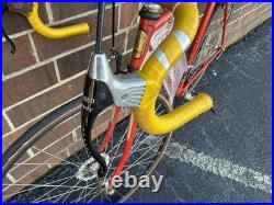 Vintage Trek 660 Road Bike Campagnolo Nuovo Record Campy 10 speed