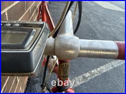 Vintage Trek 660 Road Bike Campagnolo Nuovo Record Campy 10 speed