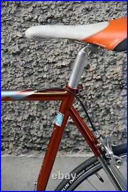 Wilier triestina ramata campagnolo record 9 columbus genius italian steel bike