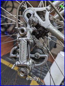 Windsor Professional withCinelli lugs full Campagnolo Nuovo Record good condition